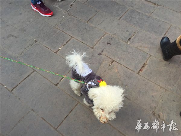 ͷϴ“С” ϰ壺һǧԪ